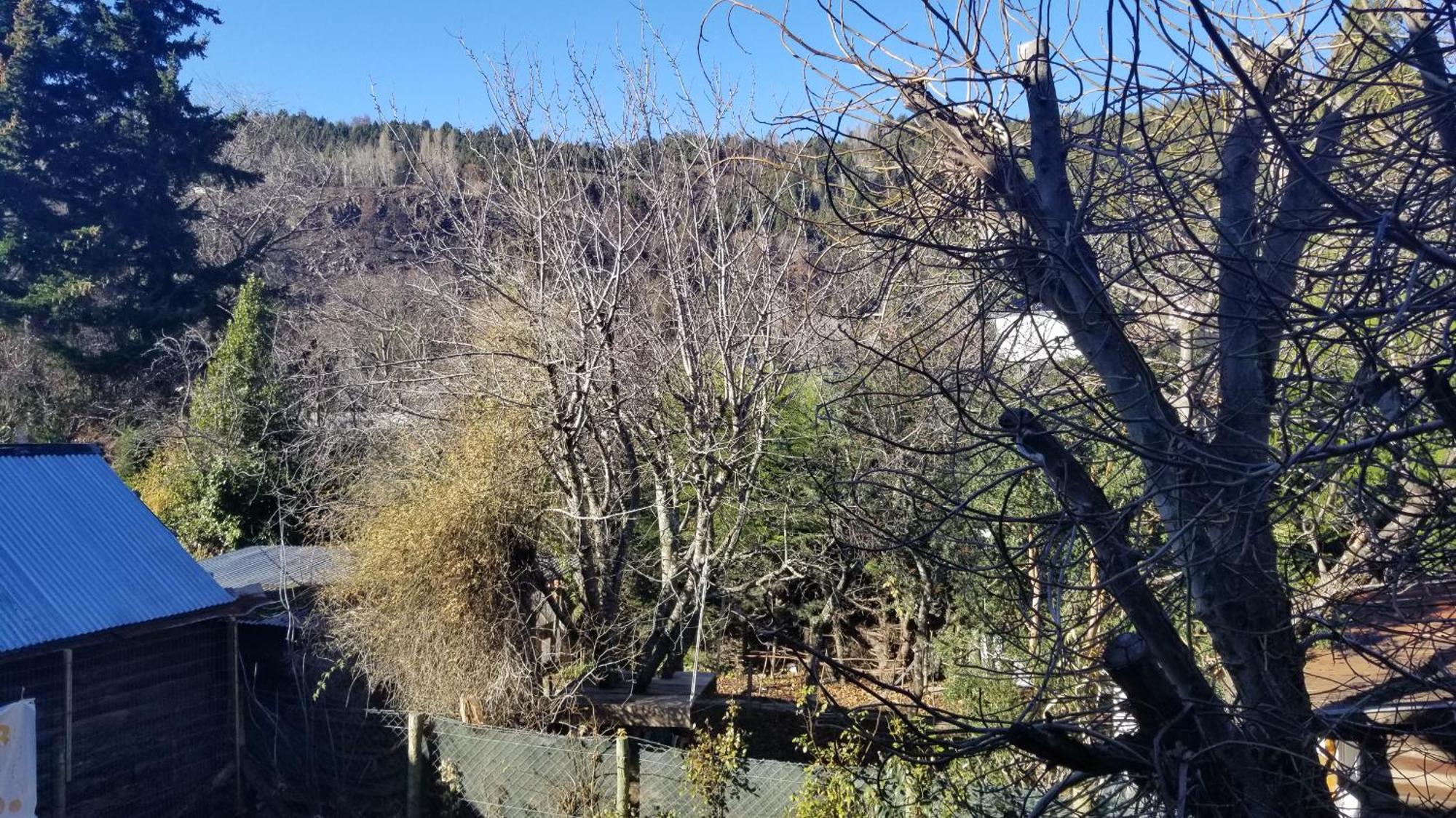 Villegas Centrico - Andarlibre San Martín de los Andes المظهر الخارجي الصورة